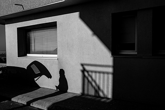 Shadowland Shadowland