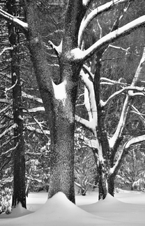 Winters Edge Winters Edge
