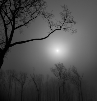 After Life #4 After Life #4