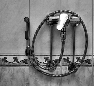 Still 2011 005 Still 2011 005