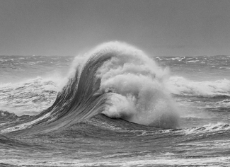 Monochrome Fury 3 Monochrome Fury 3