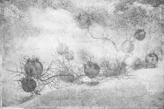 Battling Hegemony Battling Hegemony