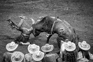 Bad Day At The Office Bad Day At The Office