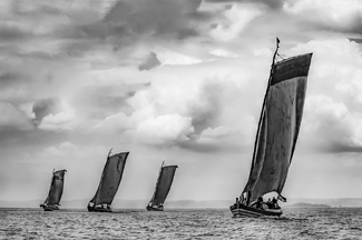 Saveiros Regatta