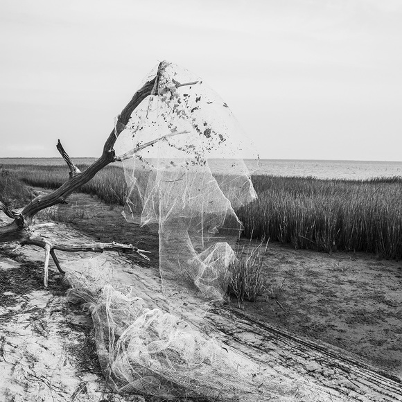 Marsh Fishnets