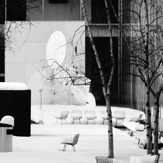 Courtyard Chairs Courtyard Chairs