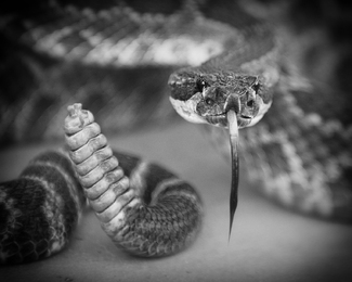 Hardest Button to Button Hardest Button to Button