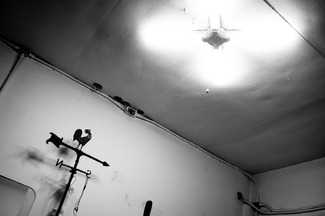 MORNING LIGHT MORNING LIGHT