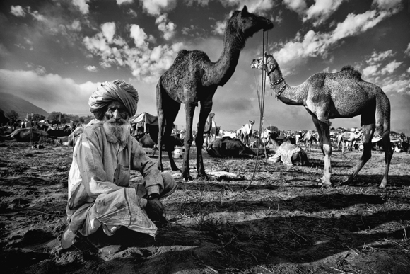 Camel Trader of Pushkar
