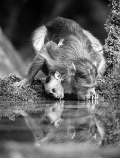 Quench together Quench together