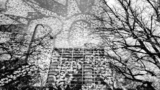 Popcorn Reflection Popcorn Reflection