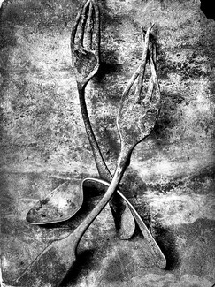 Dancing Forks & Tea Spoon Dancing Forks & Tea Spoon