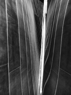 DISNEY CONCERT HALL DISNEY CONCERT HALL