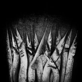 Phishy Business Phishy Business