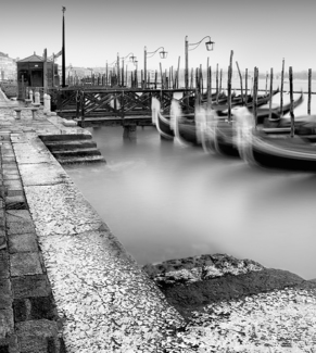 Venice on the docks