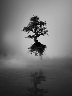 Passage of Time Passage of Time