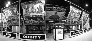 Museum of World Oddities Museum of World Oddities
