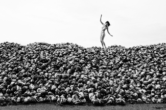 Sweet as Sugar 1 Sweet as Sugar 1