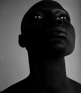 Looking into the Light Looking into the Light