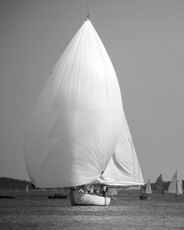 Wing and wing Wing and wing