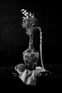 Tall Bottle Tall Bottle