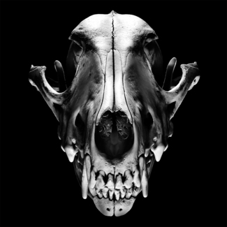 Skull02