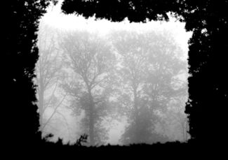 Framed Trees