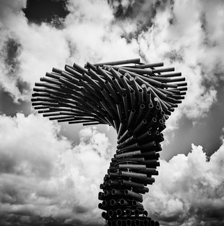 All the right noises All the right noises