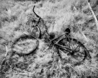 Warm Springs Bicycle