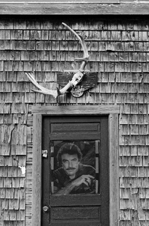 Faded Celebrity #2 Faded Celebrity #2