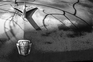 A Hood In the Shadows  A Hood In the Shadows