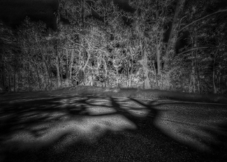 Del Monte Forest Del Monte Forest