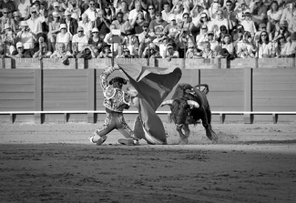 Viva El Toro Viva El Toro