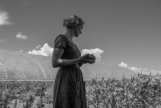 Mennonite Farm Daughter Mennonite Farm Daughter