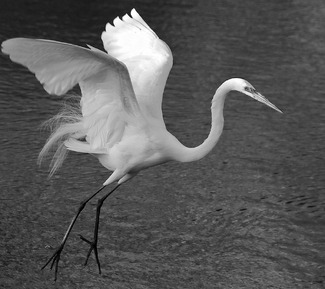 Takeoff Takeoff