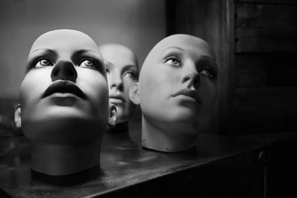 Heads for Sale Heads for Sale