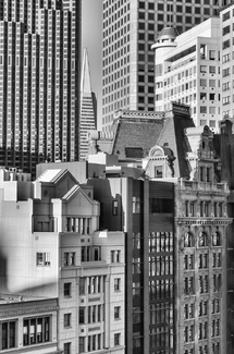 The Flowerbox The Flowerbox