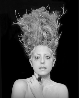 The nIce Princess The nIce Princess