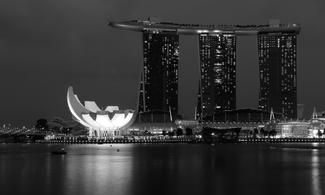 A Lotus Flower and an Airplane A Lotus Flower and an Airplane