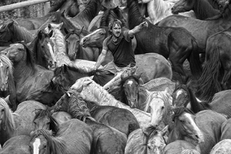 Horse Rider Horse Rider