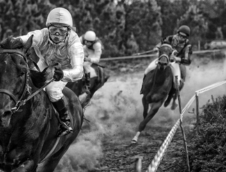 Winning Horse Winning Horse