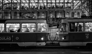 Rear Window  Rear Window