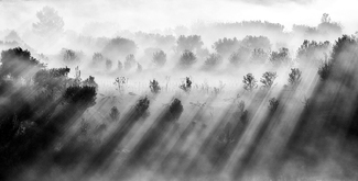 Light Rays Light Rays