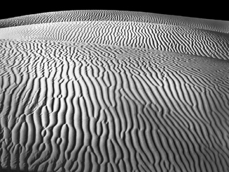 Brains of Sand Brains of Sand