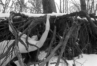 Lilith Unearthing Lilith Unearthing