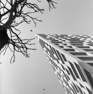 Architecture and nature Architecture and nature