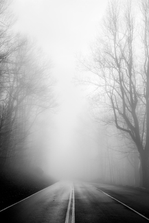 Skyline Fog Skyline Fog
