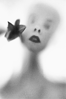 The Girl with the Flower The Girl with the Flower