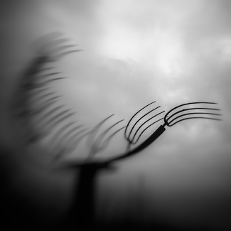 AGRO ART #1 AGRO ART #1