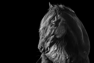 In His Prime In His Prime